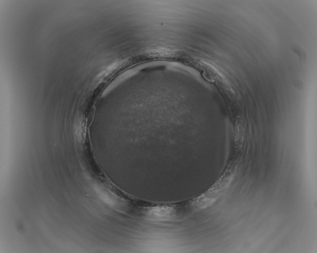 X0000111200168200907291237