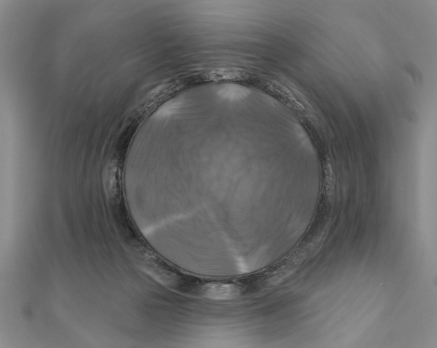 X0000111200169200907291237