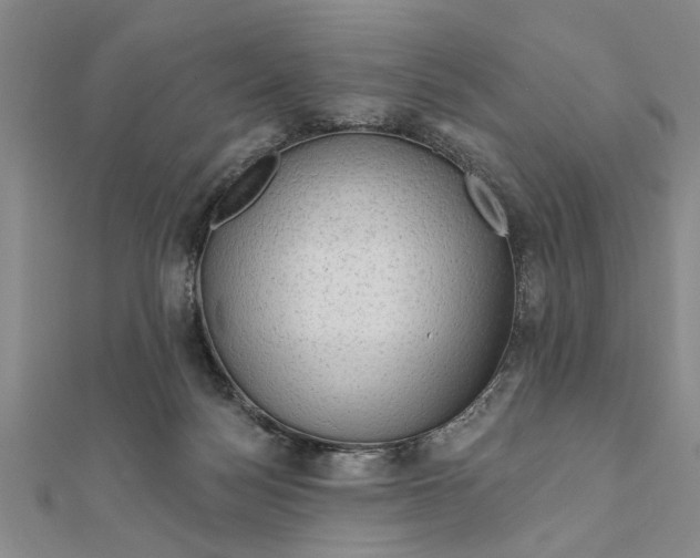 X0000111200172200907291237