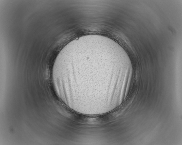 X0000111200173200907291237