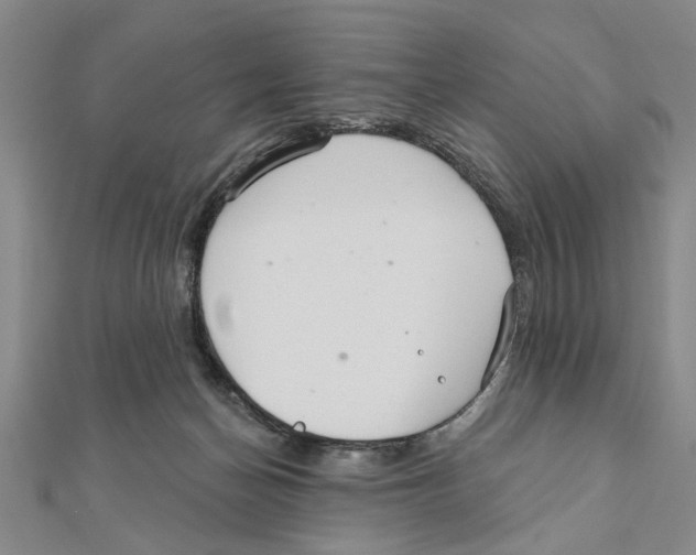 X0000111200174200907291237