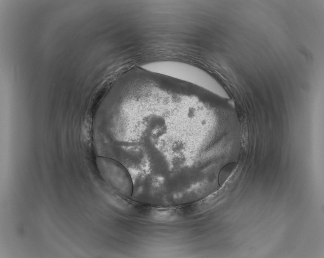 X0000111200175200907291237