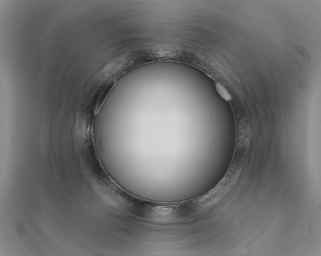 X0000111200176200907291237