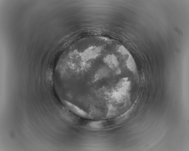 X0000111200178200907291237