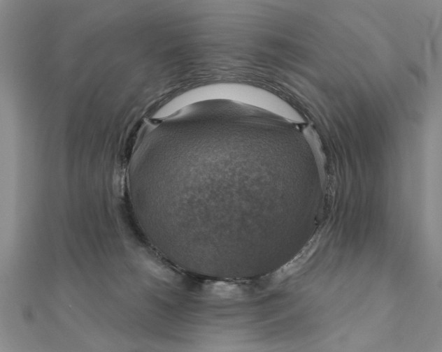 X0000111200180200907291238