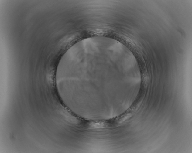 X0000111200181200907291238