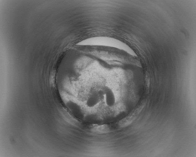 X0000111200185200907291238