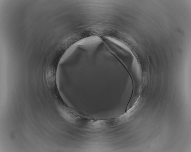 X0000111200186200907291238