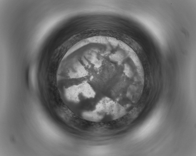 X0000111200189200907291238