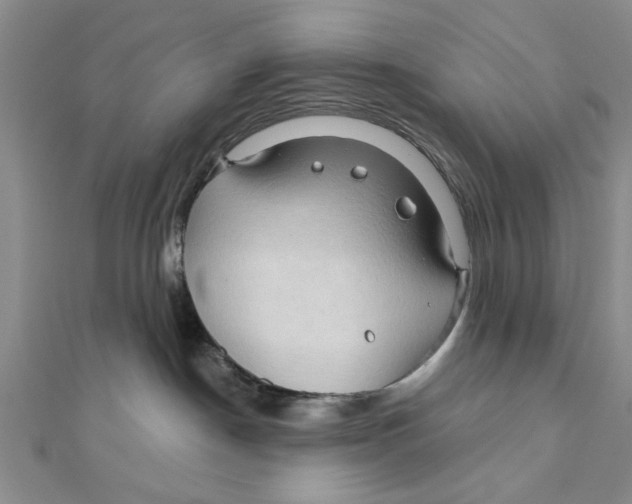 X0000111200190200907291238