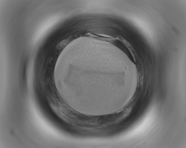 X0000111200191200907291238