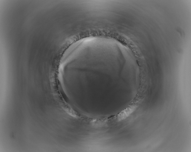 X0000111200192200907291238