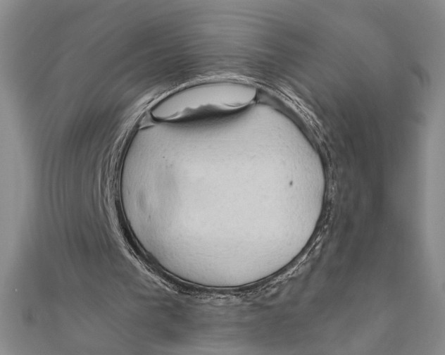 X0000111200193200907291237