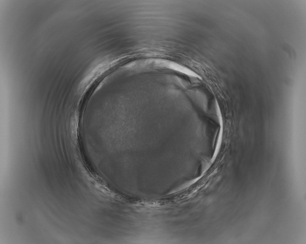 X0000111200194200907291237