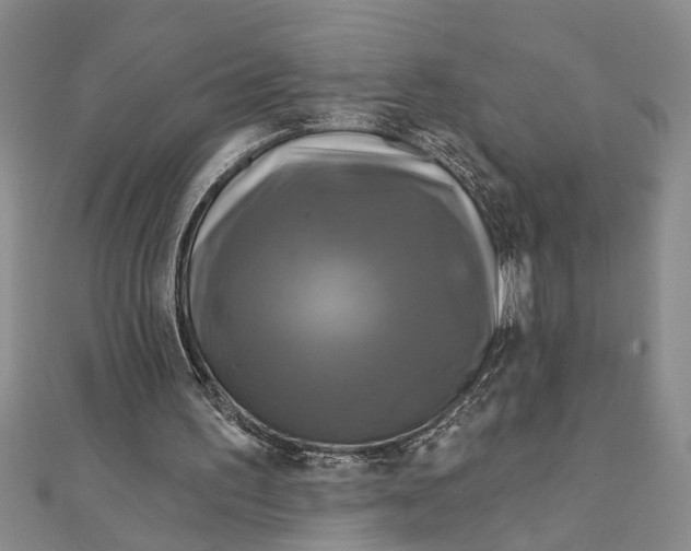 X0000111200195200907291237