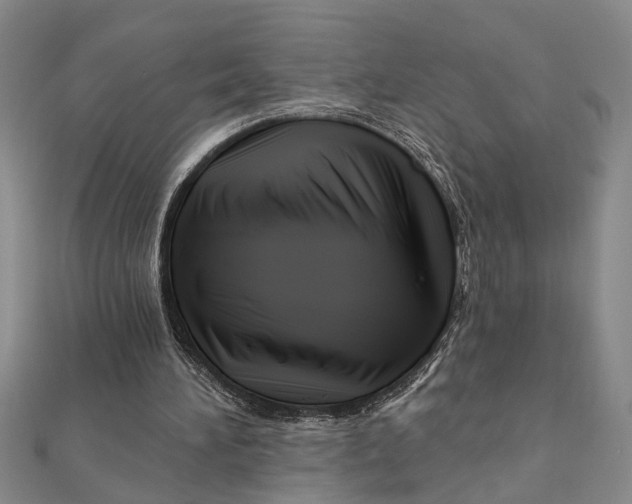 X0000111200196200907291237