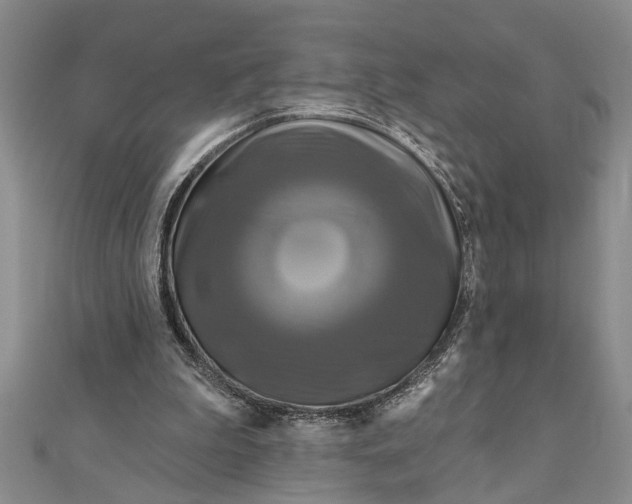 X0000111200199200907291237