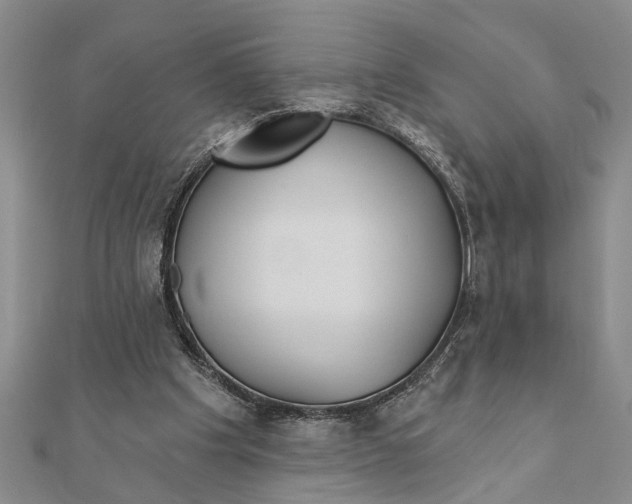 X0000111200201200907291237