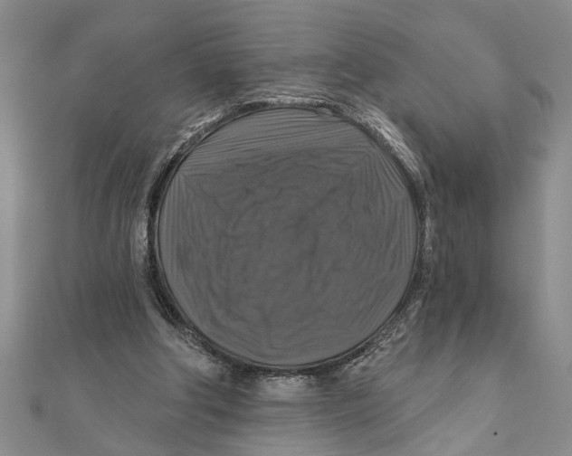 X0000111200202200907291237