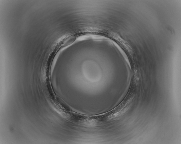 X0000111200203200907291237