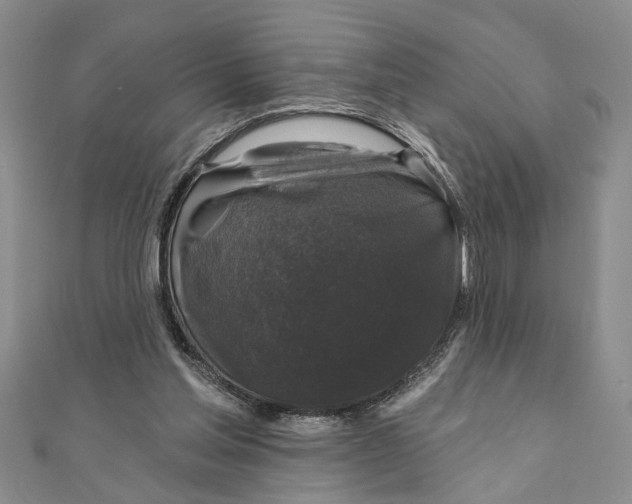 X0000111200205200907291237