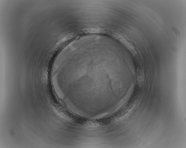 X0000111200207200907291237