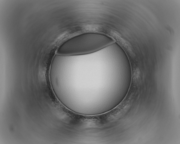 X0000111200209200907291237