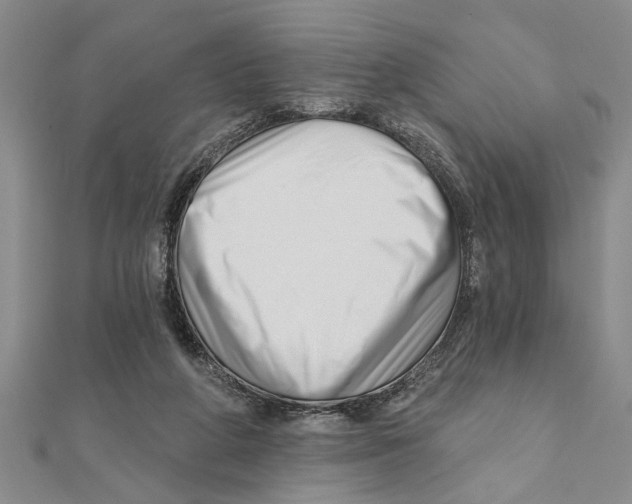 X0000111200210200907291237