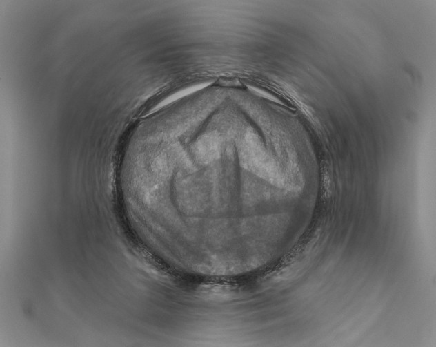 X0000111200211200907291237