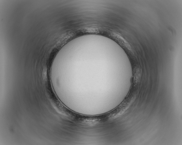 X0000111200213200907291237