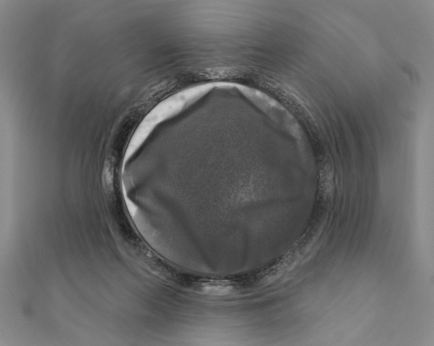 X0000111200214200907291237