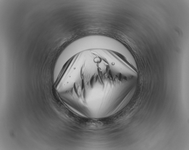 X0000111200215200907291237