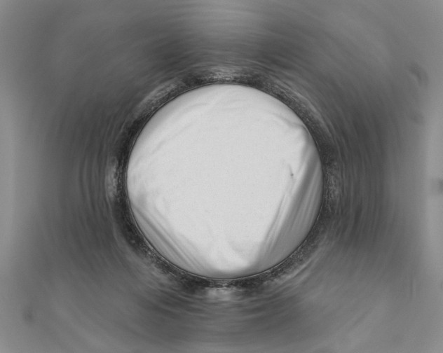 X0000111200216200907291237