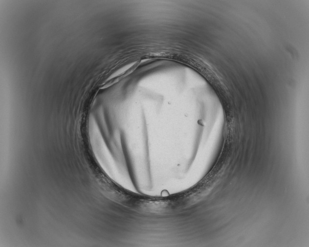 X0000111200217200907291237