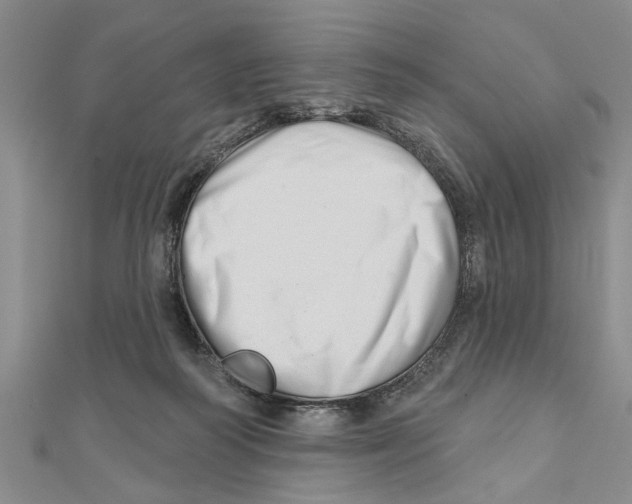 X0000111200218200907291237