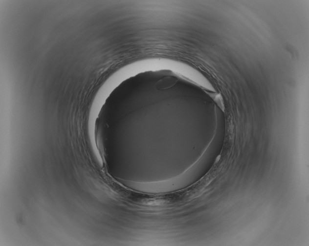 X0000111200219200907291237