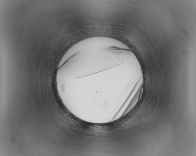 X0000111200221200907291236