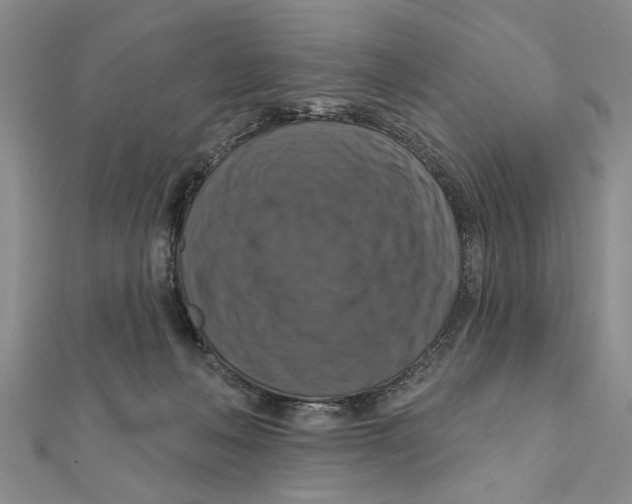 X0000111200222200907291236