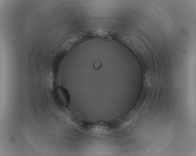 X0000111200223200907291236