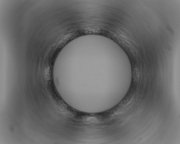 X0000111200224200907291236