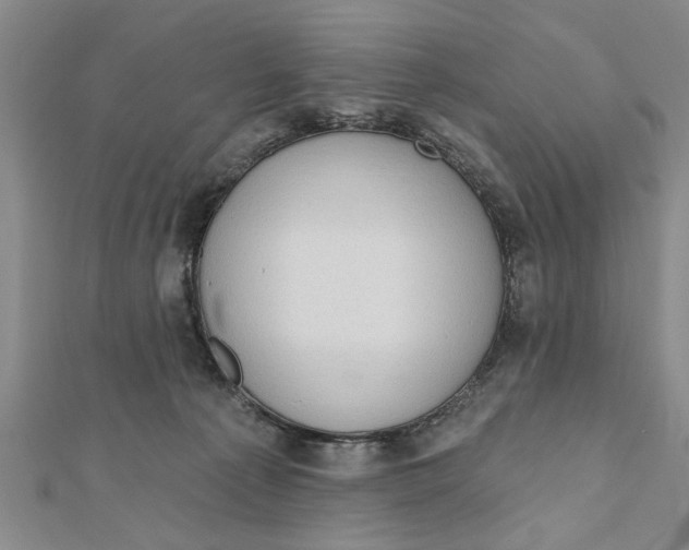 X0000111200225200907291236