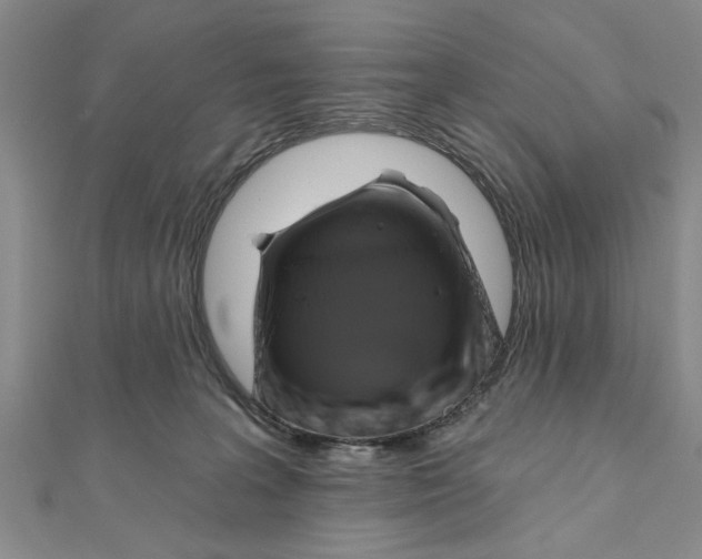 X0000111200227200907291236