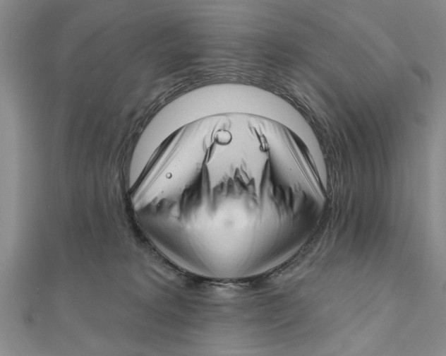 X0000111200229200907291236