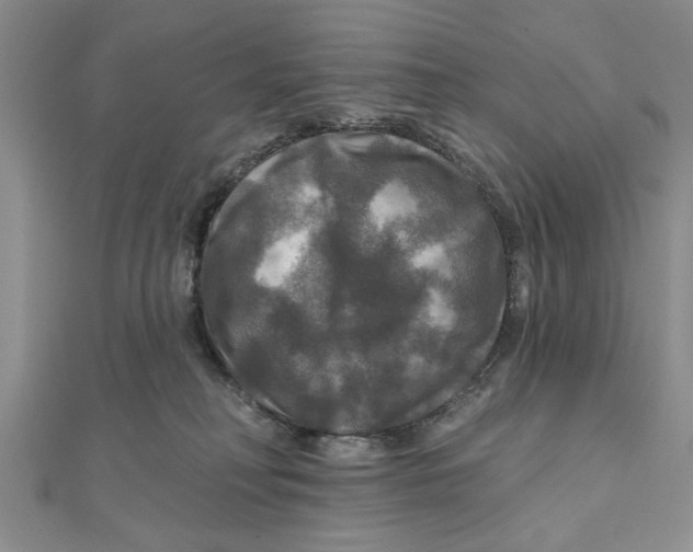 X0000111200230200907291236