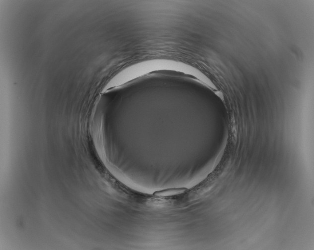 X0000111200231200907291236