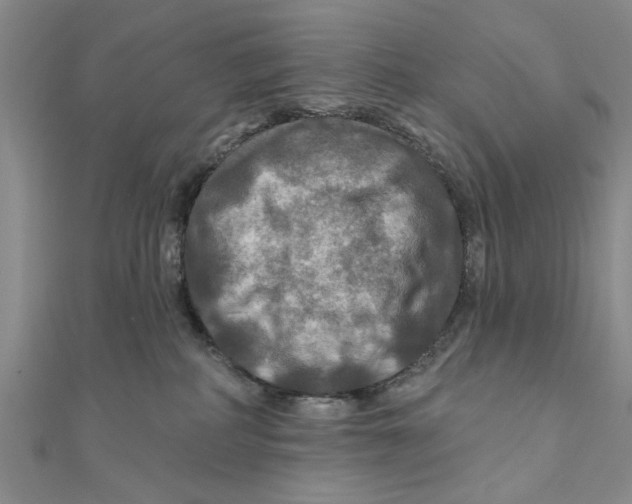 X0000111200234200907291236