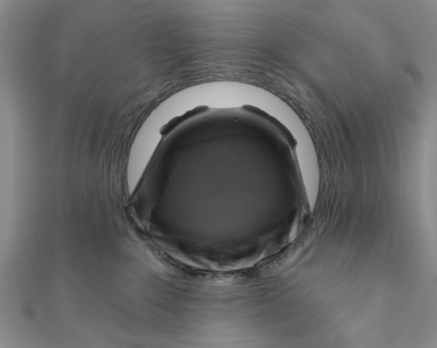 X0000111200235200907291236