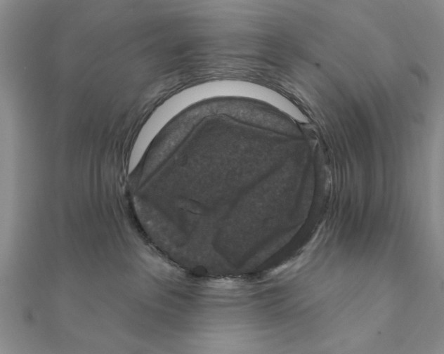 X0000111200237200907291236