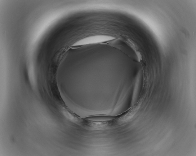 X0000111200239200907291236