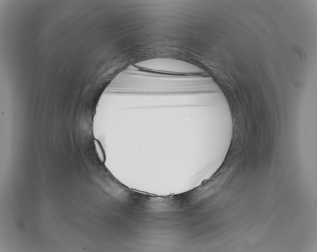 X0000111200240200907291236